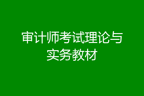 审计师考试理论与实务教材