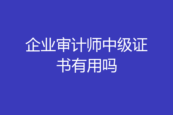 企业审计师中级证书有用吗
