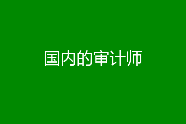 国内的审计师