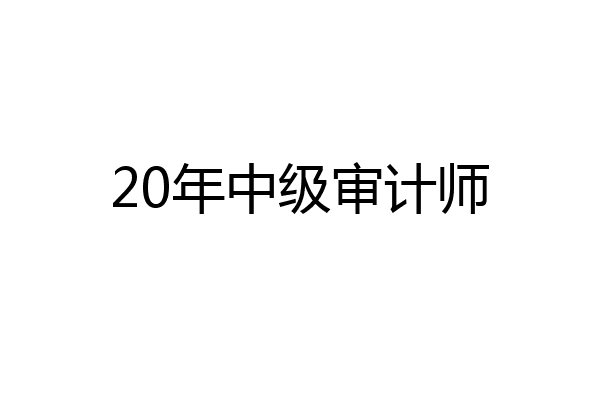 20年中级审计师