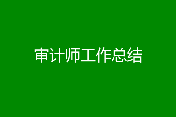 审计师工作总结