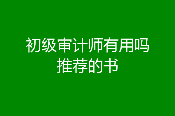 初级审计师有用吗推荐的书