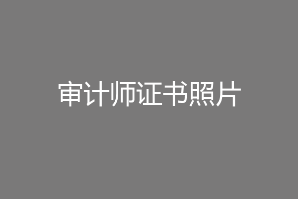 审计师证书照片