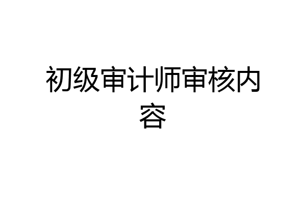 初级审计师审核内容