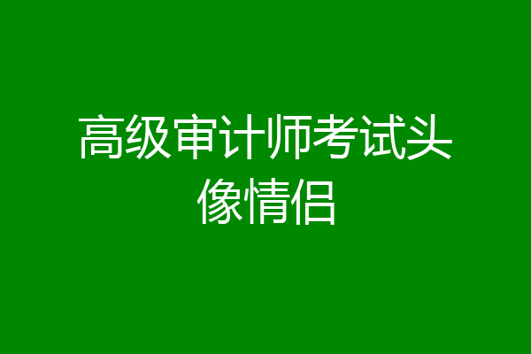 高级审计师考试头像情侣
