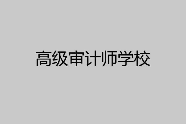 高级审计师学校