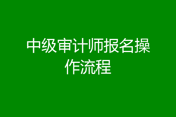 中级审计师报名操作流程