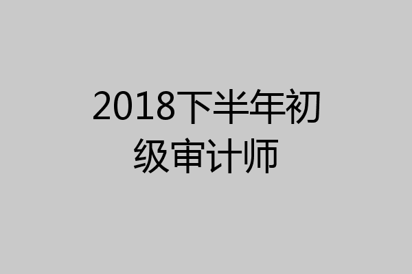 2018下半年初级审计师