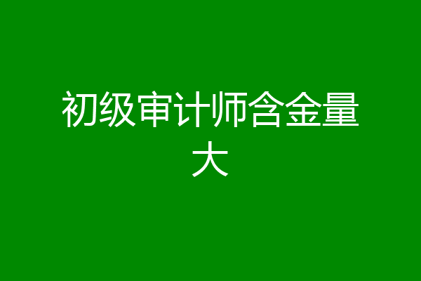 初级审计师含金量大