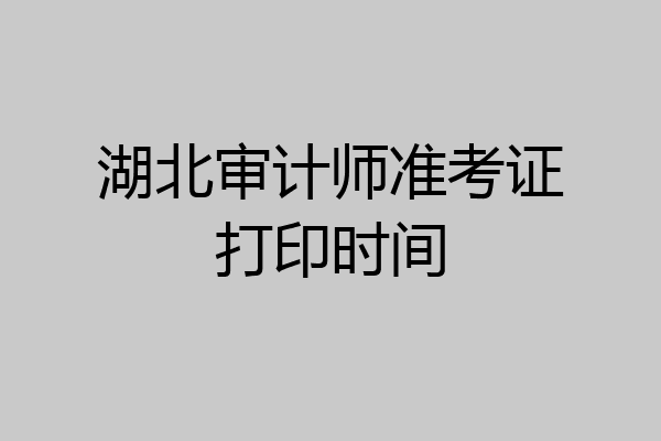 湖北审计师准考证打印时间