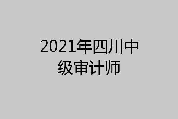 2021年四川中级审计师