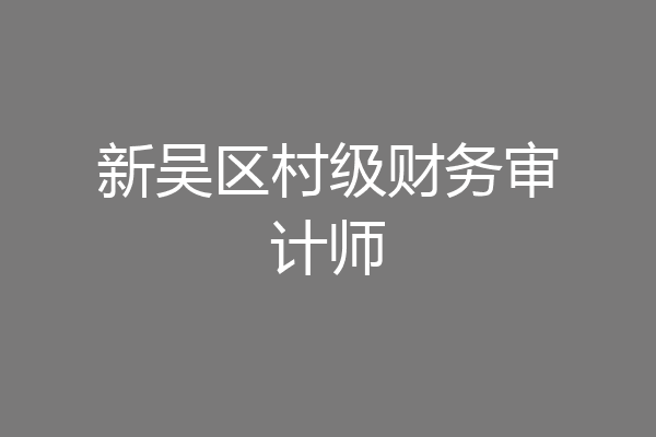 新吴区村级财务审计师