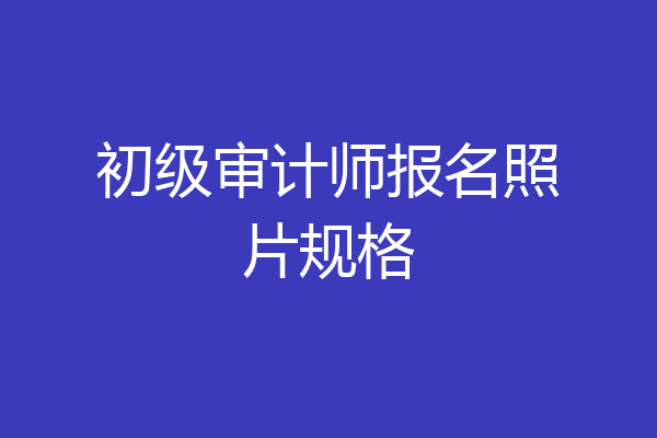初级审计师报名照片规格