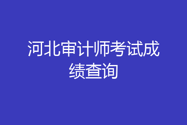 河北审计师考试成绩查询