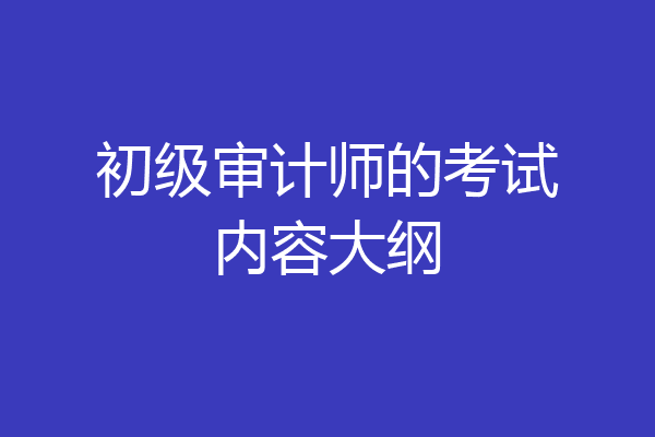 初级审计师的考试内容大纲