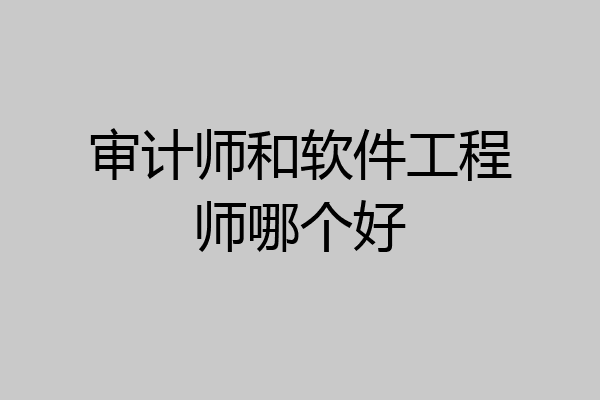 审计师和软件工程师哪个好