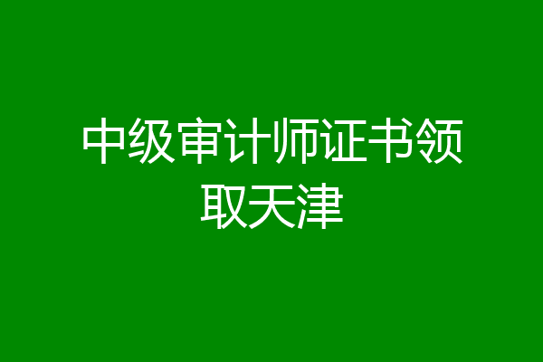 中级审计师证书领取天津