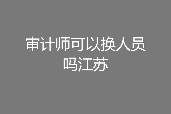 审计师可以换人员吗江苏