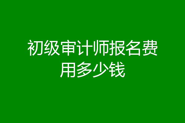 初级审计师报名费用多少钱