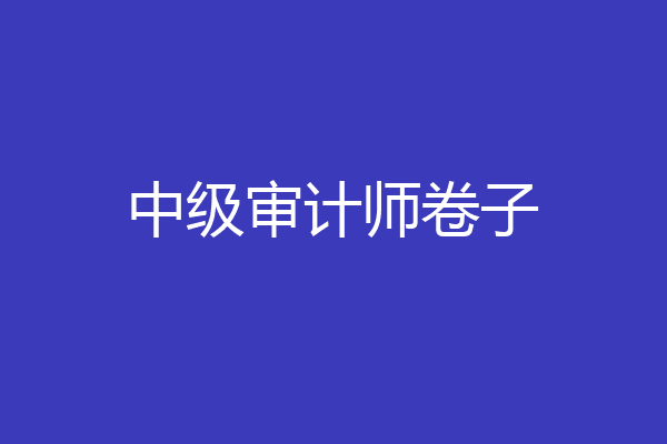 中级审计师卷子