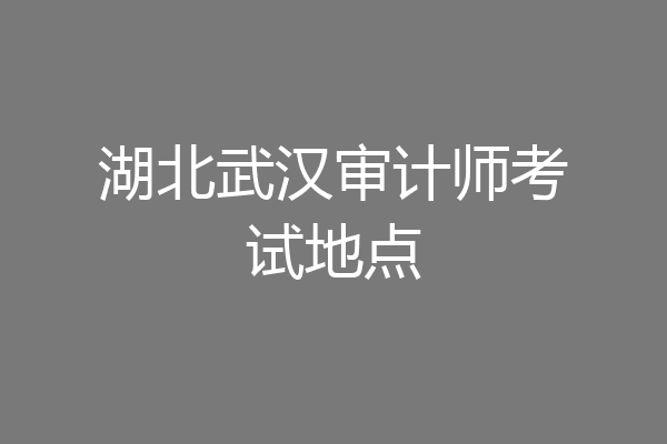湖北武汉审计师考试地点