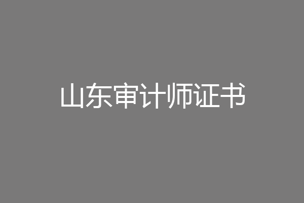 山东审计师证书