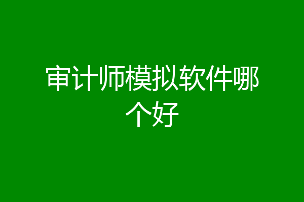 审计师模拟软件哪个好