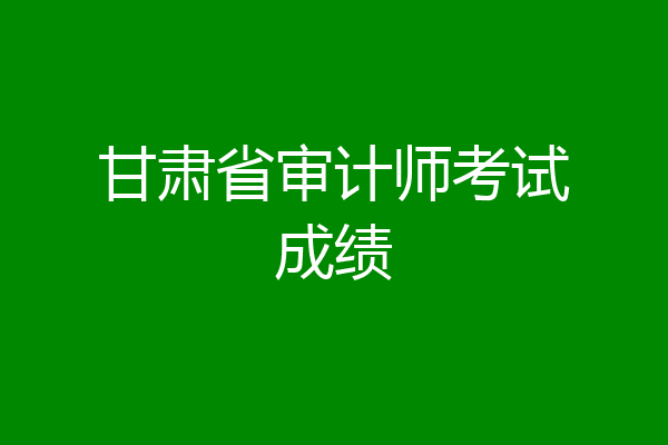 甘肃省审计师考试成绩