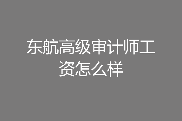 东航高级审计师工资怎么样