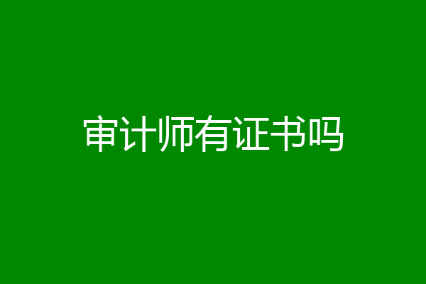 审计师有证书吗