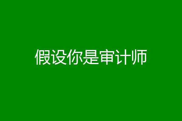 假设你是审计师