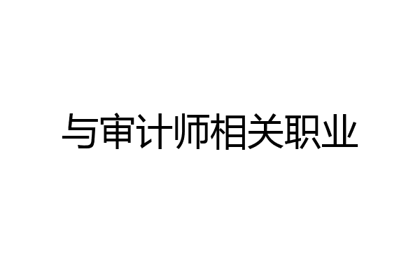 与审计师相关职业