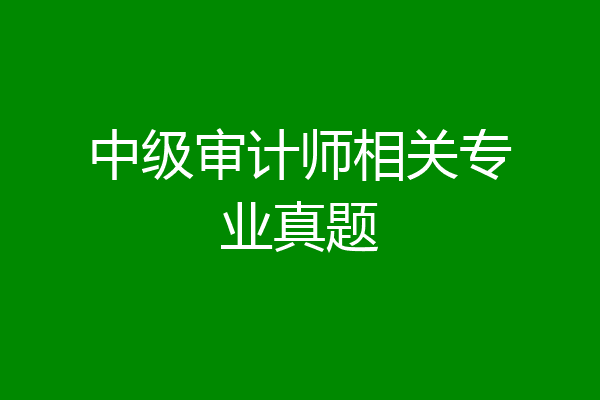 中级审计师相关专业真题
