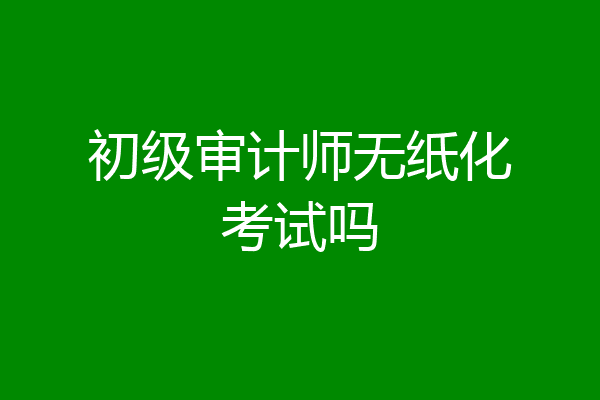 初级审计师无纸化考试吗