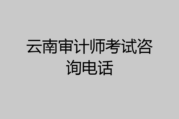 云南审计师考试咨询电话
