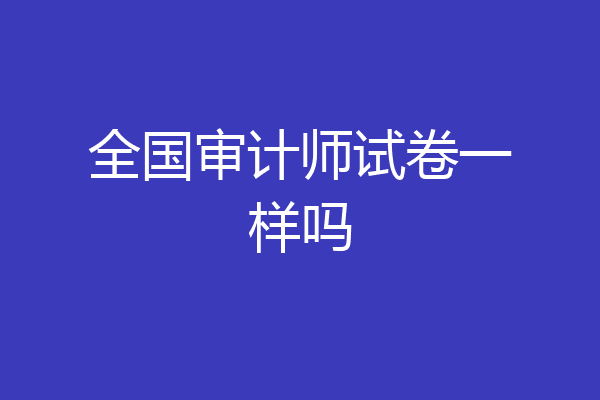 全国审计师试卷一样吗