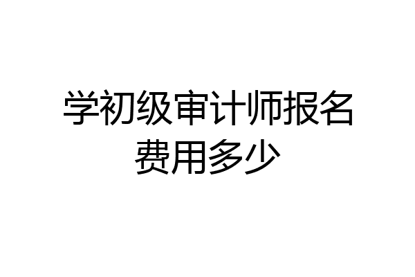 学初级审计师报名费用多少