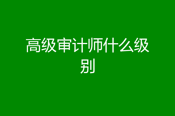 高级审计师什么级别