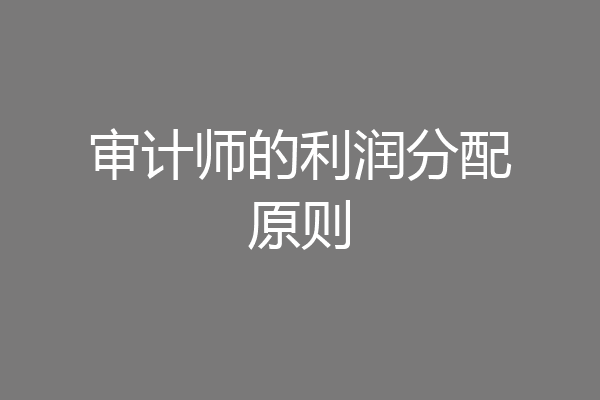 审计师的利润分配原则