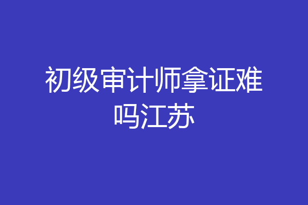 初级审计师拿证难吗江苏