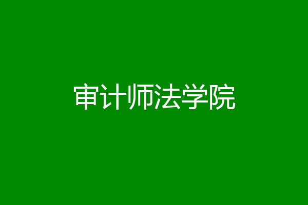 审计师法学院