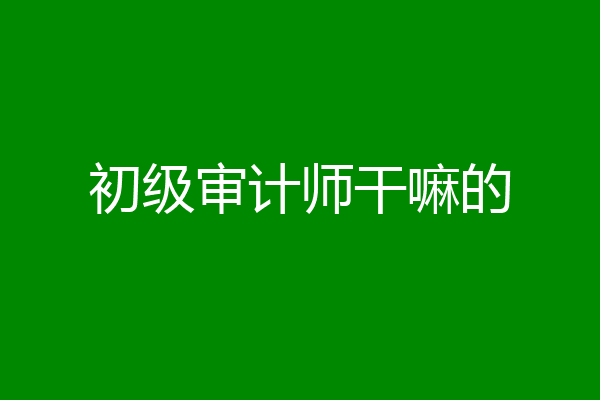 初级审计师干嘛的