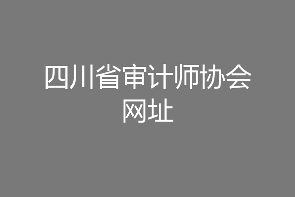 四川省审计师协会网址