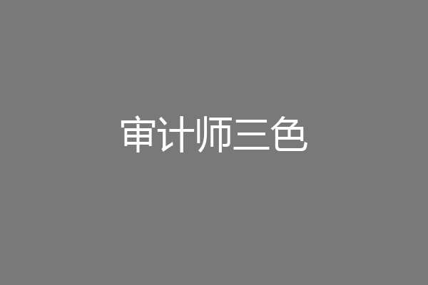 审计师三色