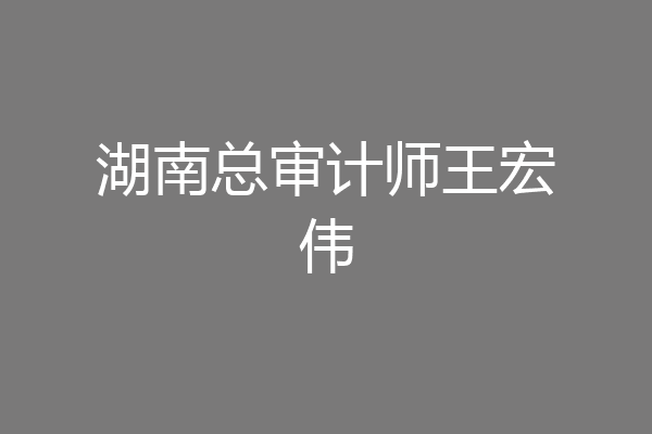 湖南总审计师王宏伟