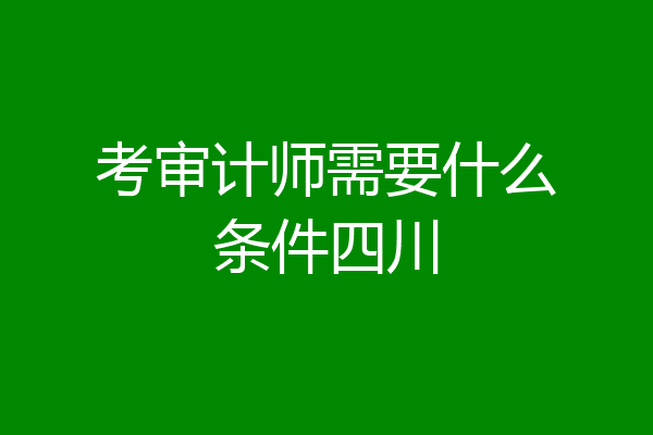 考审计师需要什么条件四川