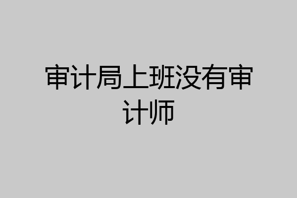 审计局上班没有审计师