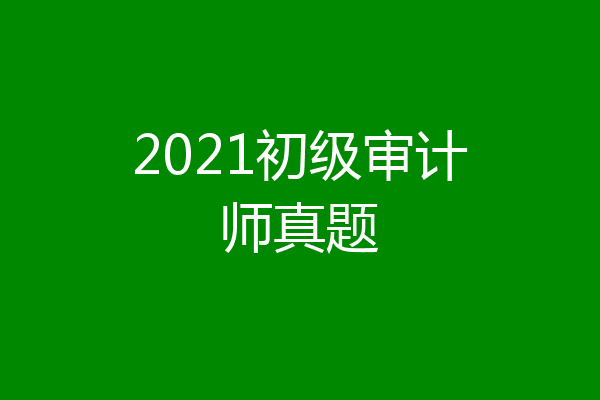 2021初级审计师真题