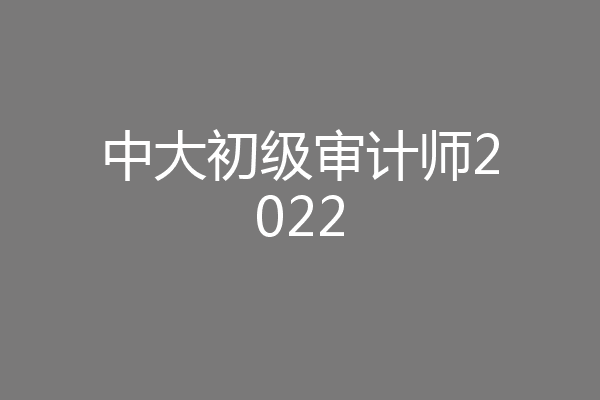 中大初级审计师2022