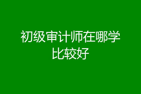 初级审计师在哪学比较好
